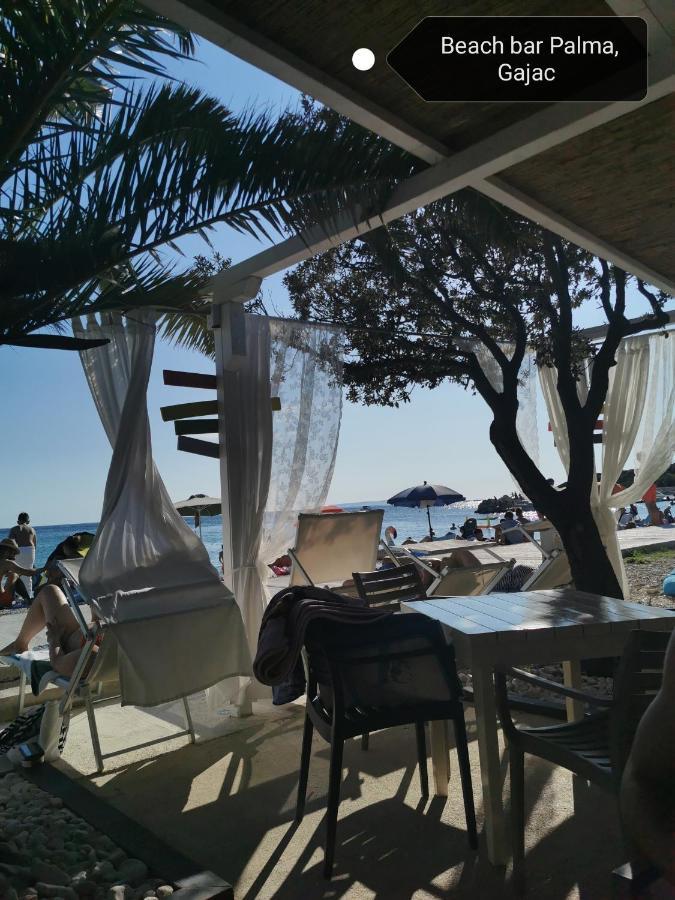 Apartment Tinateo, Gajac Novalja Εξωτερικό φωτογραφία