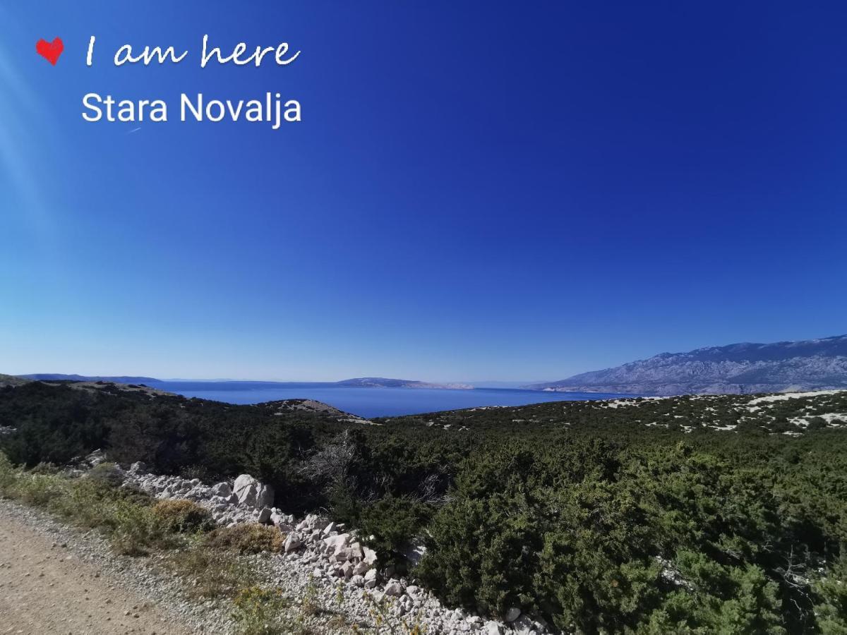 Apartment Tinateo, Gajac Novalja Εξωτερικό φωτογραφία