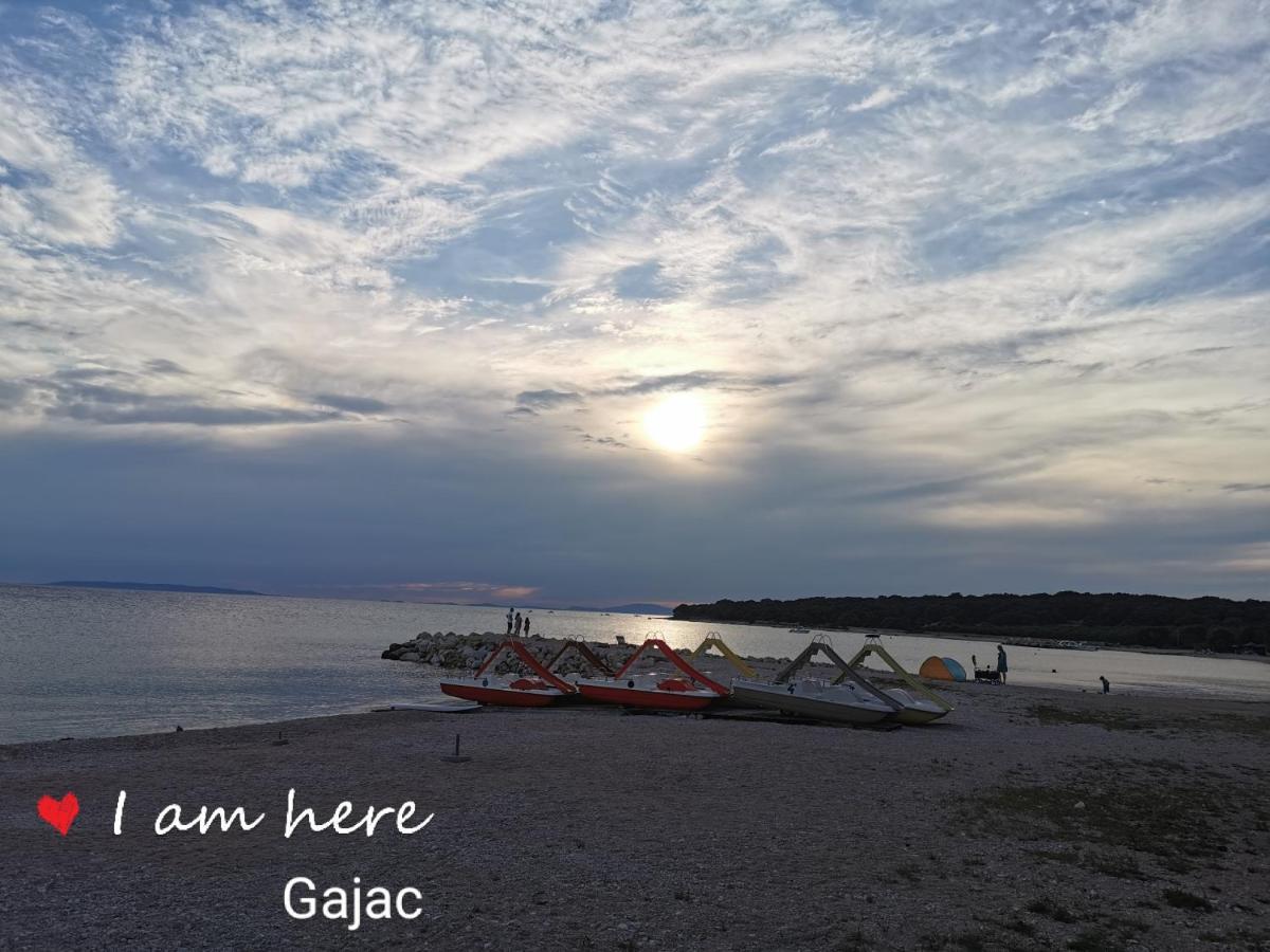 Apartment Tinateo, Gajac Novalja Εξωτερικό φωτογραφία